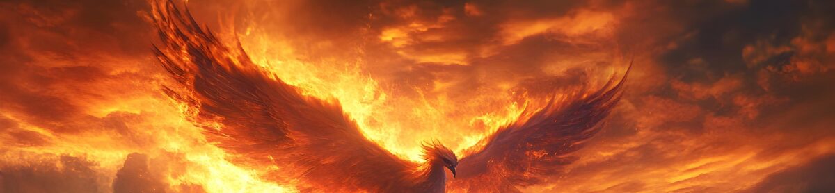 Blog di lafenicerisorta